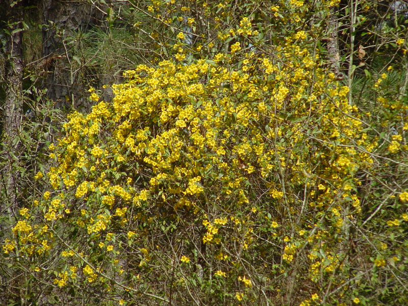 DSC16038