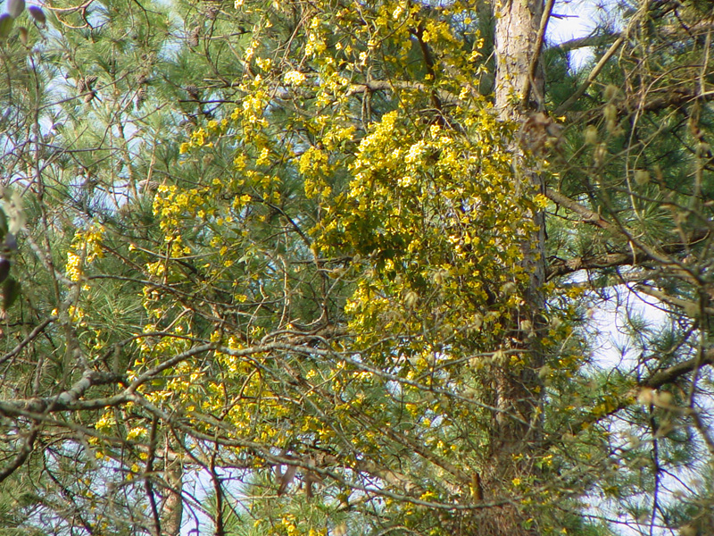 DSC19001