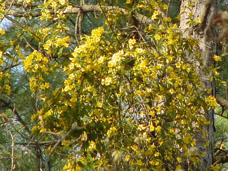 DSC19002