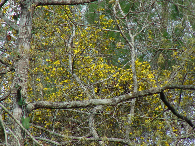 DSC19060