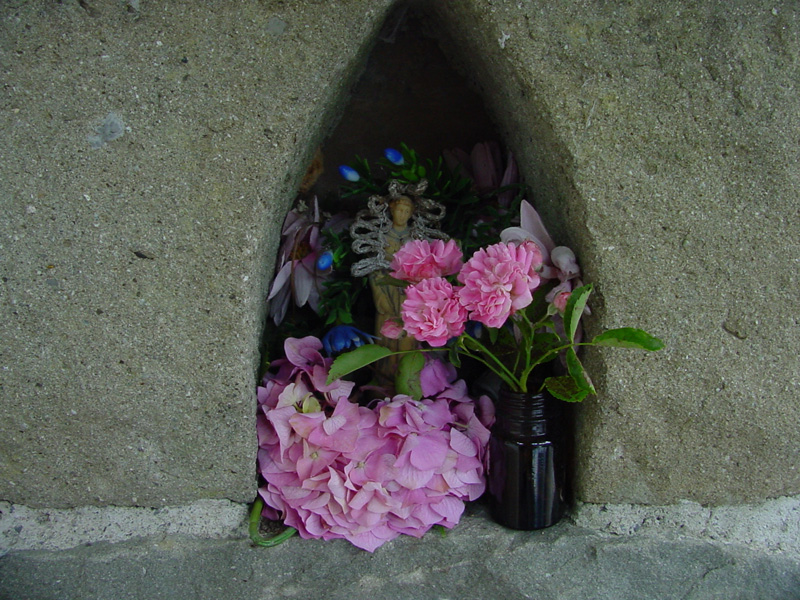 DSC35046