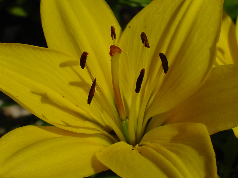 DSC37038