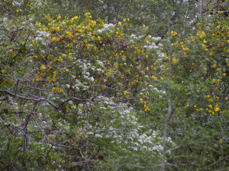 DSC40058
