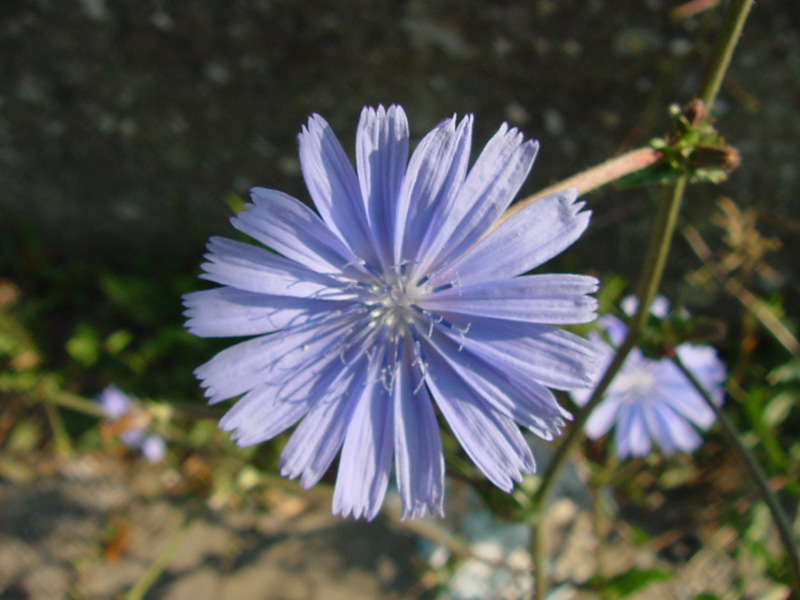 DSC43046