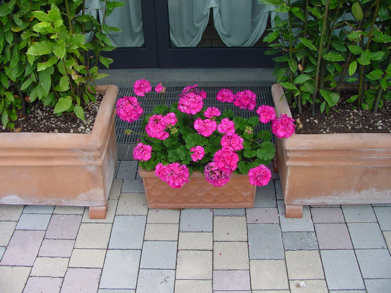 DSC44026