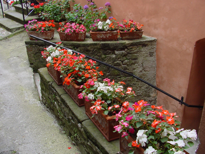 DSC45006