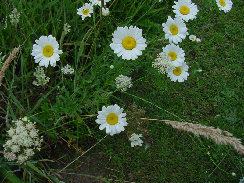 DSC47068