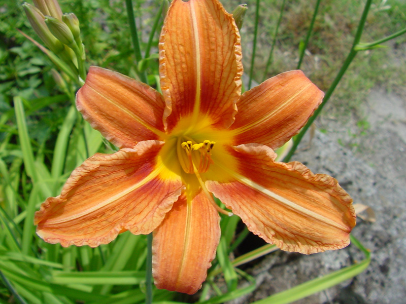 DSC48057