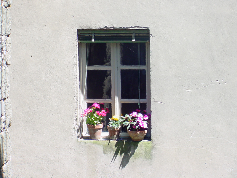 DSC49051