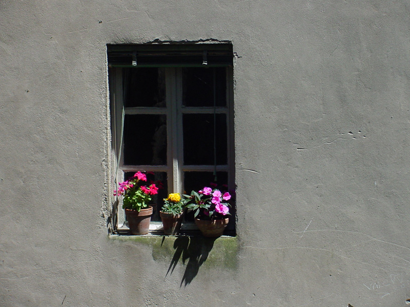 DSC49052