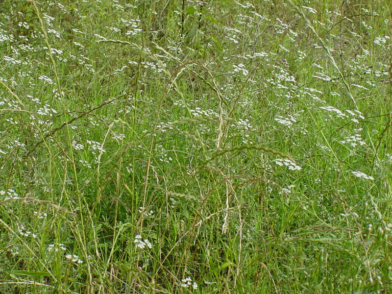 DSC55091