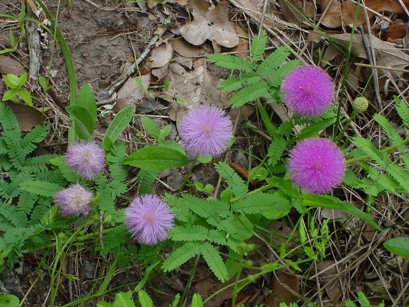 DSC56026