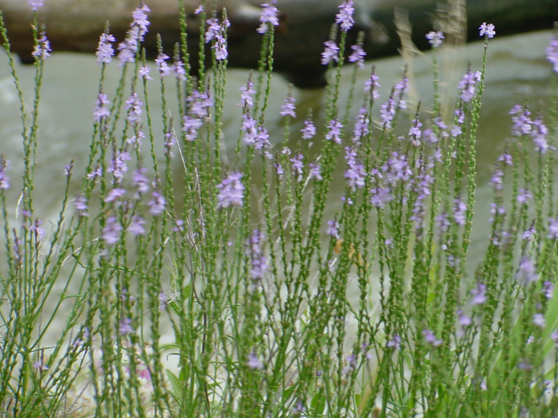 DSC56035