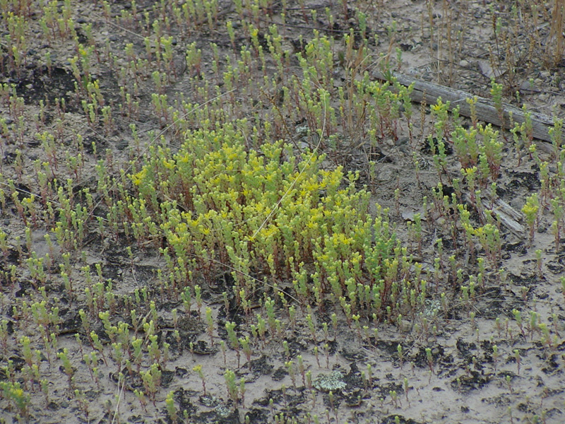 DSC56046