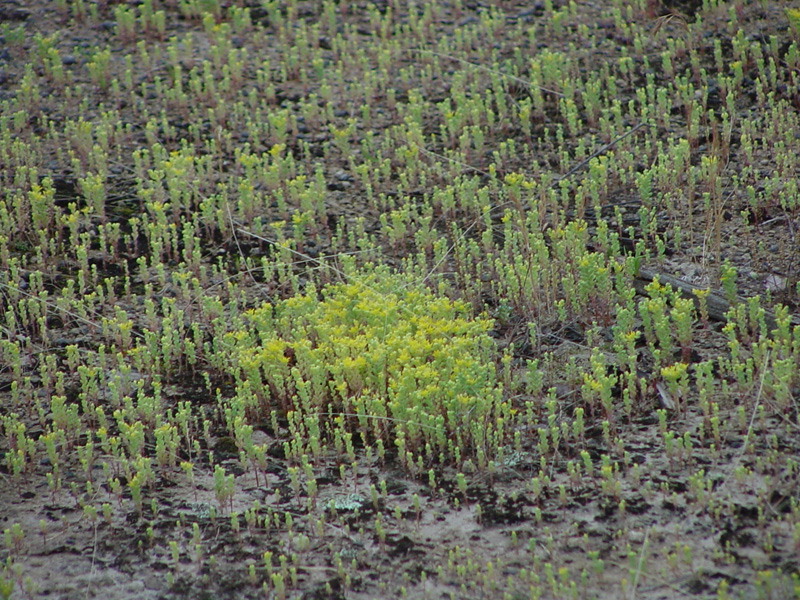 DSC56071