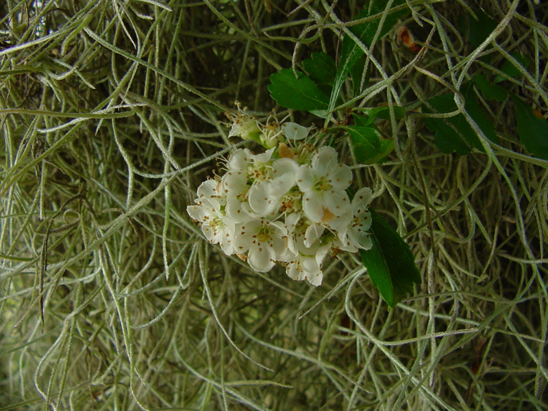 DSC62009