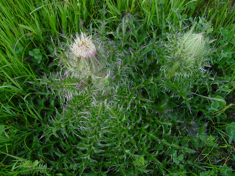DSC71055