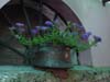 DSC51133