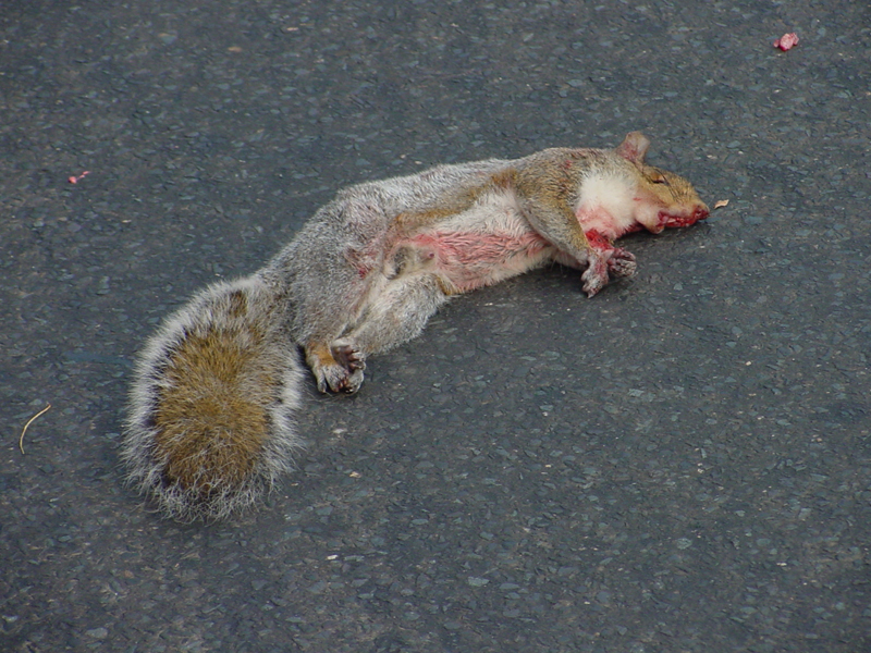 DSC00127